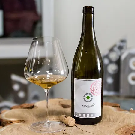 فندق مبيت وإفطار Weingut Obenaus Glaubendorf