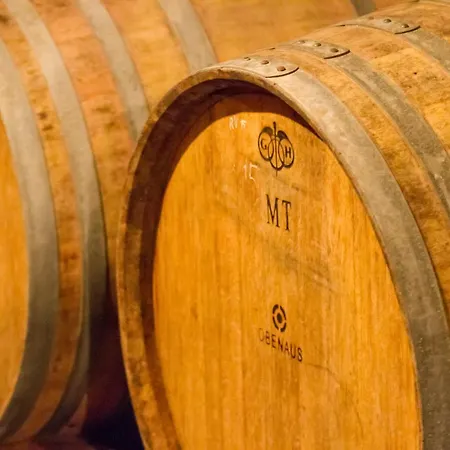 Weingut Obenaus فندق مبيت وإفطار Glaubendorf